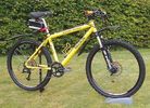 NELSON Bikes.