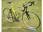 Nelson R240-1 Carbon Composite Road Race Frameset. click to zoom image