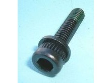 Shimano Disc Brake Calliper Bolt