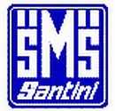 Santini logo